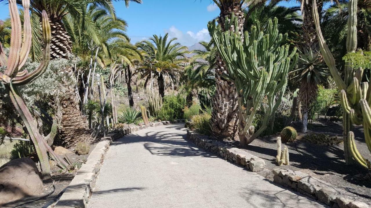 Villa De Cactualdea San Nicolás Exteriér fotografie
